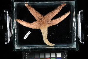 ( - 136395-1015)  @11 [ ] Unspecified (default): All Rights Reserved  Unspecified Fish and Wildlife Research Institute