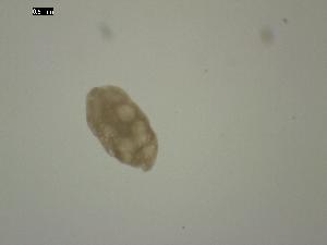  ( - A.LM.S.G.13.1)  @11 [ ] Copyright (2010) Sean Locke Environment Canada