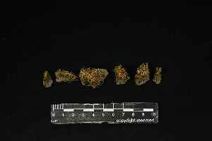  ( - REU029860)  @11 [ ] CC-BY-NC-SA (2024) Unspecified PVBMT Research Unit, University of Reunion, CIRAD