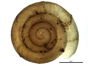  ( - BIOUG14152-C11)  @13 [ ] CreativeCommons - Attribution (2014) CBG Photography Group Centre for Biodiversity Genomics