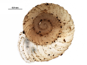  ( - BIOUG27664-A09)  @12 [ ] CreativeCommons - Attribution (2016) CBG Photography Group Centre for Biodiversity Genomics