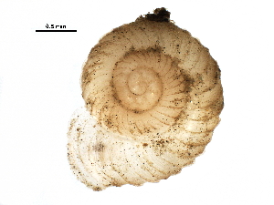  ( - BIOUG27664-G01)  @12 [ ] CreativeCommons - Attribution (2016) CBG Photography Group Centre for Biodiversity Genomics