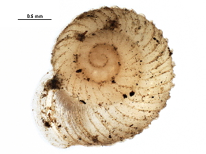  ( - BIOUG27664-G01)  @12 [ ] CreativeCommons - Attribution (2016) CBG Photography Group Centre for Biodiversity Genomics