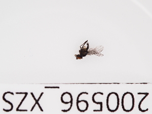  ( - 200596_XZS)  @11 [ ] by-nc-sa (2021) Unspecified Norwegian Institute of Bioeconomy Research