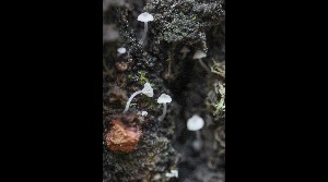  ( - GAJ.16970)  @11 [ ] by-nc (2023) Tapio Kekki Unspecified