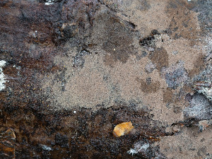  ( - GAVA.702)  @11 [ ] by-nc (2024) Teppo Helo Unspecified