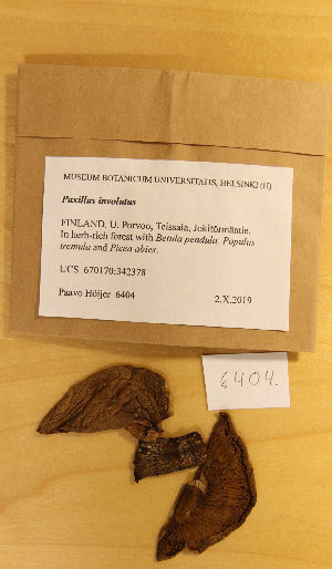  ( - H6081526)  @11 [ ] by-nc (2021) Marko Mutanen University of Oulu