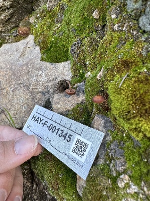  ( - HAY-F-001345)  @11 [ ] by-nc (2023) Aaron Tupac Fungal Diversity Survey