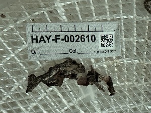  ( - HAY-F-002610)  @11 [ ] c (2023) Rudy Diaz Fungal Diversity Survey