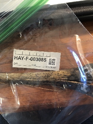  ( - HAY-F-003085)  @11 [ ] by-nc (2023) Dean Lyons Fungal Diversity Survey