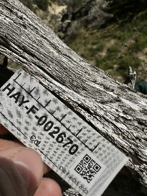 ( - HAY-F-002670)  @11 [ ] c (2023) Rudy Diaz Fungal Diversity Survey