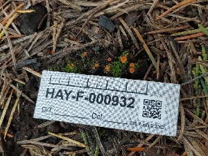  ( - HAY-F-000932)  @11 [ ] by-nc (2023) Warren Cardimona Fungal Diversity Survey