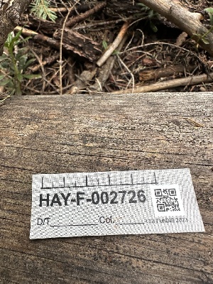  ( - HAY-F-002726)  @11 [ ] c (2023) Rudy Diaz Fungal Diversity Survey