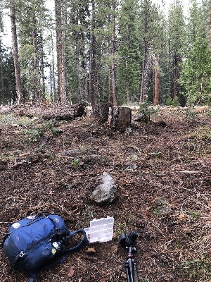  ( - HAY-F-005149)  @11 [ ] by-nc (2023) Dean Lyons Fungal Diversity Survey