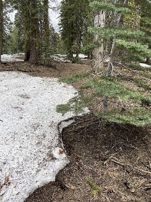  ( - HAY-F-005386)  @11 [ ] by-nc (2023) Damon Tighe Fungal Diversity Survey