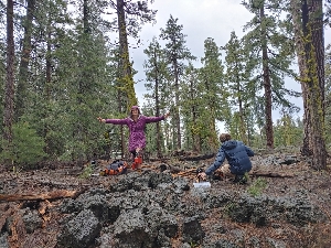  ( - HAY-F-004926)  @11 [ ] by-nc (2023) Warren Cardimona Fungal Diversity Survey