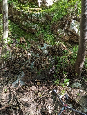  ( - HAY-F-004470)  @11 [ ] by-nc (2023) Stu Pickell Fungal Diversity Survey