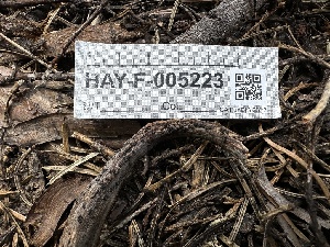  ( - LA-F-000141)  @11 [ ] c (2023) Rudy Diaz Fungal Diversity Survey