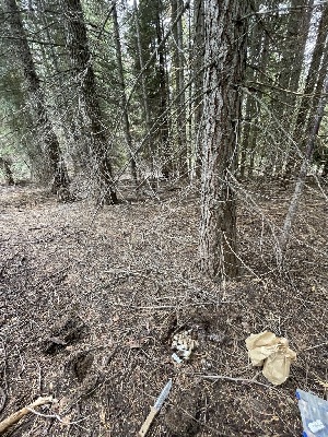  ( - HAY-F-006480)  @11 [ ] by-nc (2023) Damon Tighe Fungal Diversity Survey