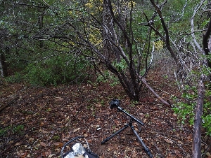  ( - HAY-F-004844)  @11 [ ] by-nc (2023) Warren Cardimona Fungal Diversity Survey