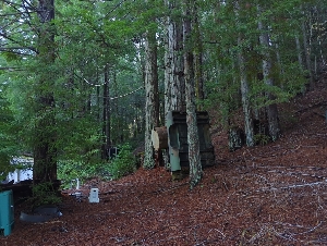  ( - HAY-F-004847)  @11 [ ] by-nc (2023) Warren Cardimona Fungal Diversity Survey