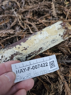  ( - HAY-F-007422)  @11 [ ] by (2023) Mandy Hackney Fungal Diversity Survey