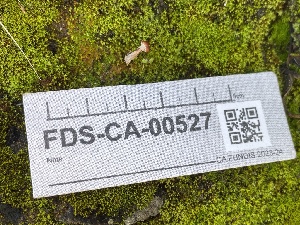  ( - FDS-CA-00527)  @11 [ ] by-nc (2024) Damon Tighe Fungal Diversity Survey