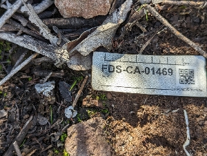  ( - FDS-CA-01469)  @11 [ ] by-nc (2024) Stu Pickell Fungal Diversity Survey