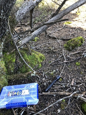  ( - FDS-CA-03209)  @11 [ ] by (2024) Justin Paulin Fungal Diversity Survey