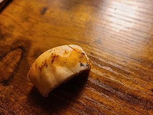  ( - FDS-CA-04267)  @11 [ ] by-nc (2024) Fresno Mycology Society Fungal Diversity Survey