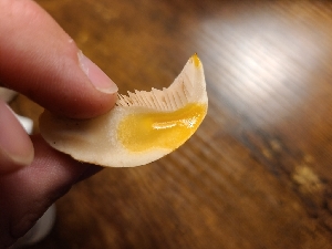  ( - FDS-CA-04267)  @11 [ ] by-nc (2024) Fresno Mycology Society Fungal Diversity Survey