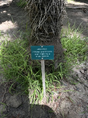  ( - FDS-CA-04932)  @11 [ ] c (2024) Rudy Diaz Fungal Diversity Survey