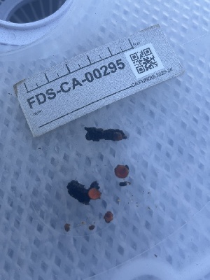  ( - FDS-CA-00295)  @11 [ ] by-nc (2024) Dean Lyons Fungal Diversity Survey