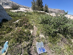  ( - FDS-CA-04819)  @11 [ ] by-nc (2024) Dean Lyons Fungal Diversity Survey