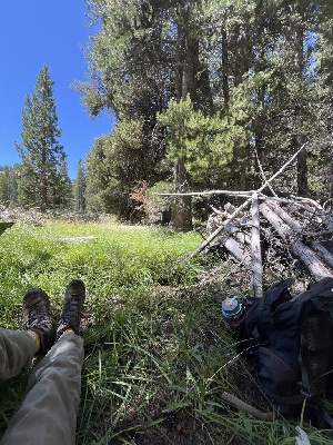  ( - FDS-CA-04865)  @11 [ ] by-nc (2024) Dean Lyons Fungal Diversity Survey