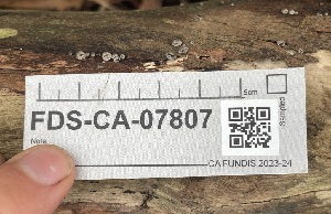  ( - FDS-CA-07807)  @11 [ ] by-nc (2024) Damon Tighe Fungal Diversity Survey