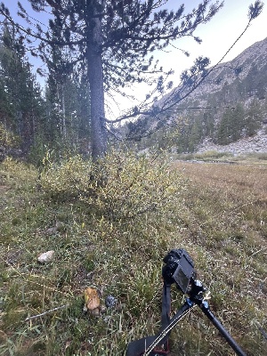  ( - FDS-CA-05874)  @11 [ ] by-nc (2024) Dean Lyons Fungal Diversity Survey