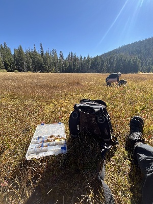  ( - FDS-CA-05866)  @11 [ ] by-nc (2024) Dean Lyons Fungal Diversity Survey