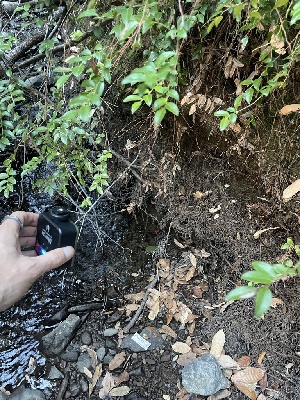  ( - FDS-CA-07827)  @11 [ ] by-nc (2024) Damon Tighe Fungal Diversity Survey
