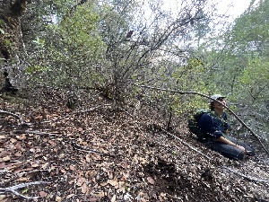  ( - FDS-CA-07442)  @11 [ ] by-nc (2024) Dean Lyons Fungal Diversity Survey