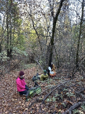  ( - FDS-CA-06538)  @11 [ ] by-nc (2024) Taye Bright Fungal Diversity Survey