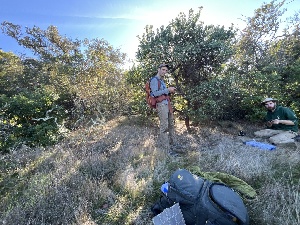  ( - FDS-CA-08591)  @11 [ ] by-nc (2024) Dean Lyons Fungal Diversity Survey