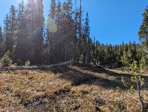  ( - FDS-CA-00840)  @11 [ ] by-nc (2024) Warren Cardimona Fungal Diversity Survey