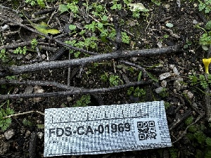  ( - FDS-CA-01969)  @11 [ ] by-nc (2024) Aaron Tupac Fungal Diversity Survey
