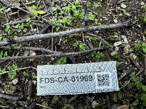  ( - FDS-CA-01969)  @11 [ ] by-nc (2024) Aaron Tupac Fungal Diversity Survey