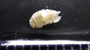  ( - HF23_19_02)  @11 [ ] Unspecified (default): All Rights Reserved  Unspecified Unspecified