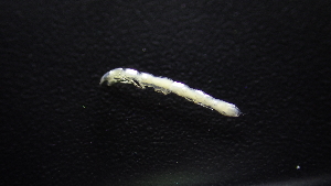  ( - HF23_20_02)  @11 [ ] Unspecified (default): All Rights Reserved  Unspecified Unspecified