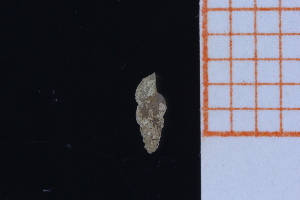  ( - GBMolST162)  @11 [ ] Unspecified (default): All Rights Reserved  Unspecified Unspecified