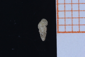  ( - GBMolST162)  @11 [ ] Unspecified (default): All Rights Reserved  Unspecified Unspecified