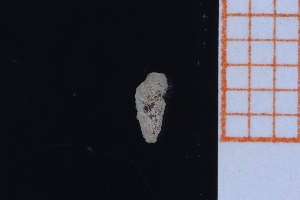  ( - GBMolST164)  @11 [ ] Unspecified (default): All Rights Reserved  Unspecified Unspecified